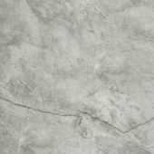 Roma Argento Honed 32X32 | Quality Carpet Inc.