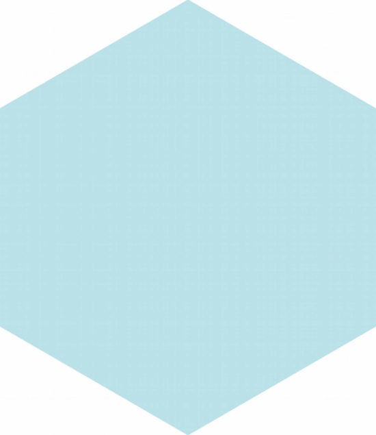 Ronda 5.5X6.3” Aqua Hexagon | Quality Carpet Inc.