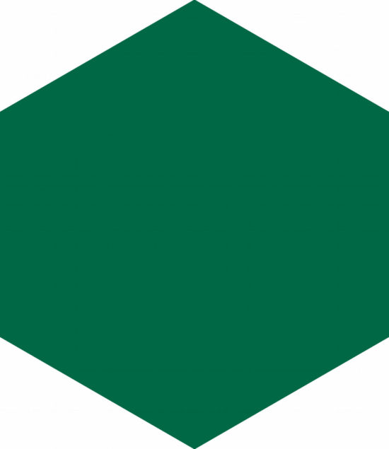 Ronda 5.5X6.3” Green Hexagon | Quality Carpet Inc.