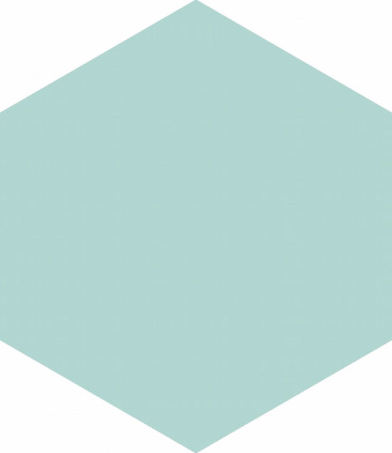 Ronda 5.5X6.3” Mint Hexagon | Quality Carpet Inc.