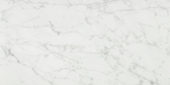 San Giulio Gioia Polished 24X48 | Quality Carpet Inc.