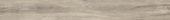 Sandstone 7.76"x60" | Quality Carpet Inc.