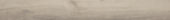 Sandstone 7.76"x60" | Quality Carpet Inc.
