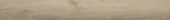 Spice 7.76"x60" | Quality Carpet Inc.