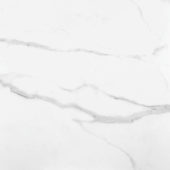 Statuario Venezia Honed 24X24 | Quality Carpet Inc.