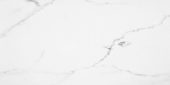 Statuario Venezia Honed 24X48 | Quality Carpet Inc.