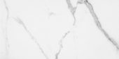 Statuario Venezia Polished 12X24 | Quality Carpet Inc.