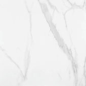 Statuario Venezia Polished 24X24 | Quality Carpet Inc.