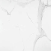 Statuario Venezia Polished 24X24 | Quality Carpet Inc.