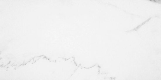 Statuario Venezia Polished 24X48 | Quality Carpet Inc.