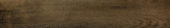 Vivid Vintage 6X36 | Quality Carpet Inc.
