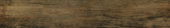 Vivid Vintage 6X36 | Quality Carpet Inc.