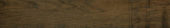 Vivid Vintage 6X36 | Quality Carpet Inc.