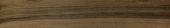 Vivid Vintage 6X36 | Quality Carpet Inc.