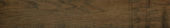Vivid Vintage 6X36 | Quality Carpet Inc.