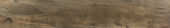 Warm 8X47 | Quality Carpet Inc.