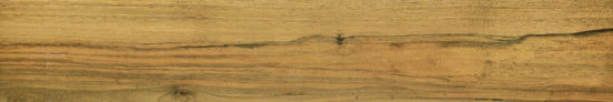 Warm Honey 6X36 | Quality Carpet Inc.