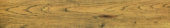 Warm Honey 6X36 | Quality Carpet Inc.