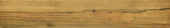 Warm Honey 6X36 | Quality Carpet Inc.