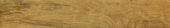 Warm Honey 6X36 | Quality Carpet Inc.