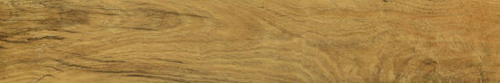 Warm Honey 6X36 | Quality Carpet Inc.