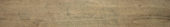 Western Juniper 8X47 | Quality Carpet Inc.