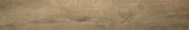 Western Juniper 8X47 | Quality Carpet Inc.