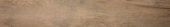 Western Juniper 8X47 | Quality Carpet Inc.