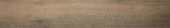 Western Juniper 8X47 | Quality Carpet Inc.