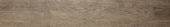 Western Juniper 8X47 | Quality Carpet Inc.
