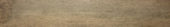Western Juniper 8X47 | Quality Carpet Inc.