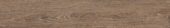 Woodlands 8X48 Nogal | Quality Carpet Inc.