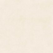 Serene Ivory 24x24 | Quality Carpet Inc.