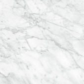 Plata 24x24 Carrara Abisso Polished | Quality Carpet Inc.