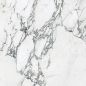 Royal Stoneworks 24X24 Italian Arabescato Honed | Quality Carpet Inc.