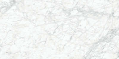 Royal Stoneworks 24X48 Old World Bianco Honed