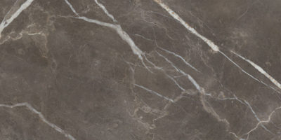 Royal Stoneworks 24X48 Regal Brown Marble Honed