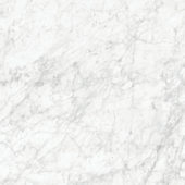 Royal Stoneworks 48X48 Old World Bianco Honed | Quality Carpet Inc.