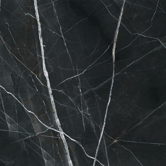 Royal Stoneworks 48X48 Regal Black Vein Honed