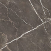 Royal Stoneworks 48X48 Regal Brown Marble Honed | Quality Carpet Inc.