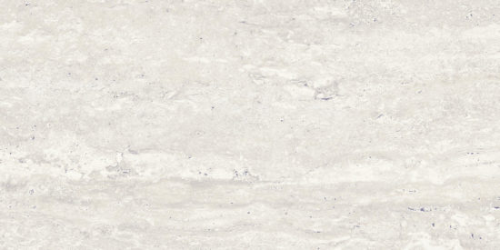 Saturnia 12x24 Roman Matte | Quality Carpet Inc.