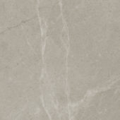 Torino 13x13 Vanizio | Quality Carpet Inc.