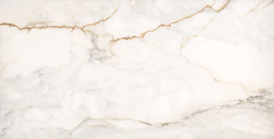 Treasure II Perfect Calacatta 12×24 Polished