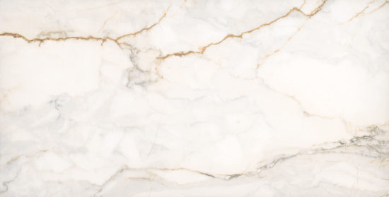 Treasure II Perfect Calacatta 12x24 Polished | Quality Carpet Inc.