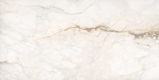 Treasure II Perfect Calacatta 24×48 Polished