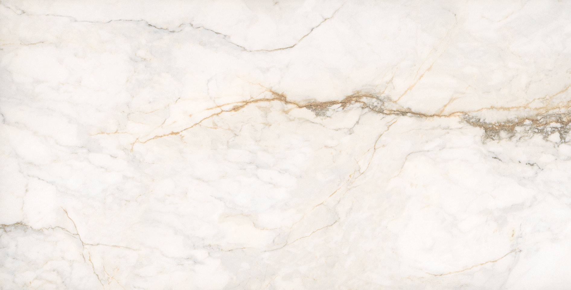 Treasure II Perfect Calacatta 24x48 Polished